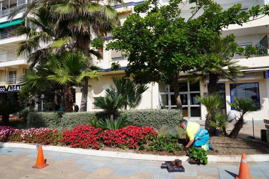 El Ayuntamiento plantará 400.000 ejemplares florales en las zonas verdes de Estepona