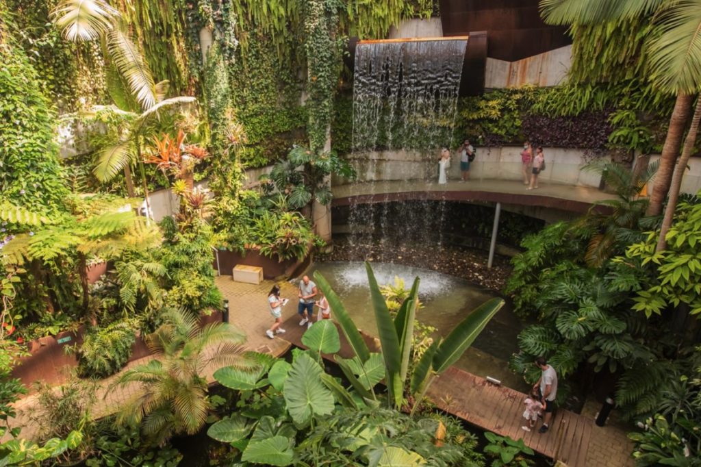 Borrador El Parque Botánico Orquidario de Estepona cumple diez años con más de medio millón de visitasautomático