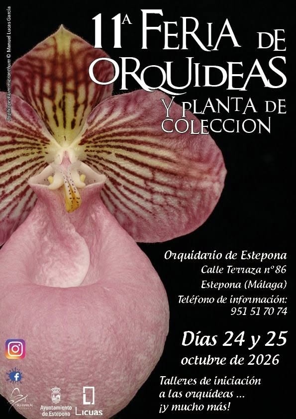 Estepona celebra el 24 y 25 de octubre su 11ª Feria de Orquídeas